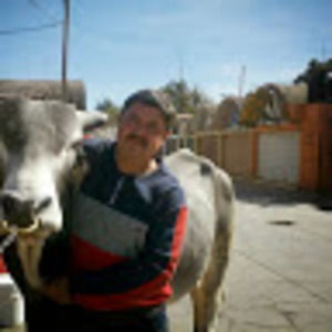 Meet your Posher, Efrain